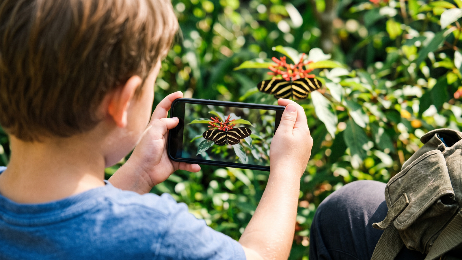 Photo of a child photographing a zebra longwing butterfly with a phone for a citizen science project